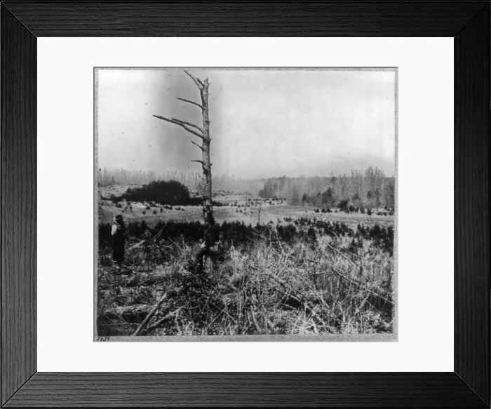 Framed Print : Scene of unsuccessful charges against Confederate entrenchments at junction of old and new Court House Roads
