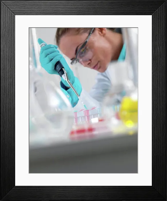 Framed Print : Researcher pipetting liquid Framed Print : Researcher pipetting liquid