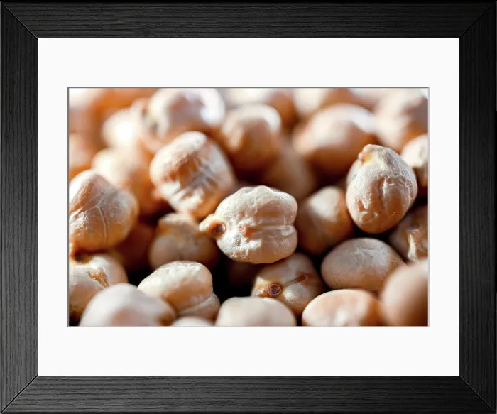 Framed Print : Close updates of chickpeas or chickpeas. Close updates of chickpeas or chickpeas Framed Print : Close updates of chickpeas or chickpeas. Close updates of chickpeas or chickpeas