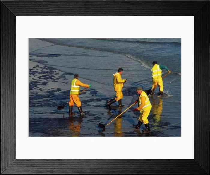 Framed Print : Wales, Pembrokeshire, Tenby, Workers Clearing Oil In Tenby Harbour From Sea Empress Spill Framed Print : Wales, Pembrokeshire, Tenby, Workers Clearing Oil In Tenby Harbour From Sea Empress Spill