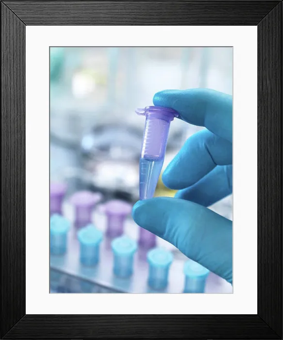 Framed Print : Scientist preparing a sample in a eppendorf tube for chemical analysis Framed Print : Scientist preparing a sample in a eppendorf tube for chemical analysis