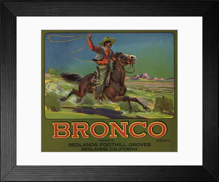 Framed Print : Bronco Cowboy with Lasso on horseback Framed Print : Bronco Cowboy with Lasso on horseback