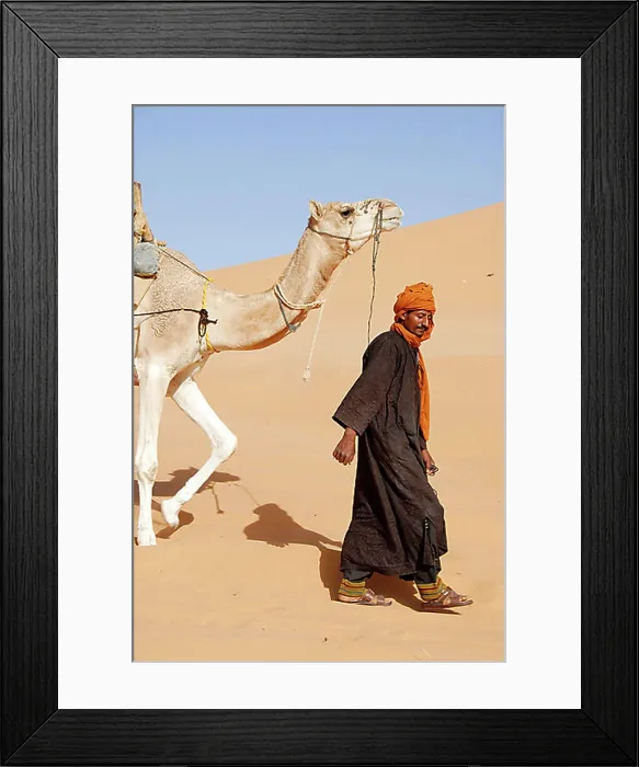 Framed Print : Tuareg drives camel through desert sand Mandara Libya Framed Print : Tuareg drives camel through desert sand Mandara Libya