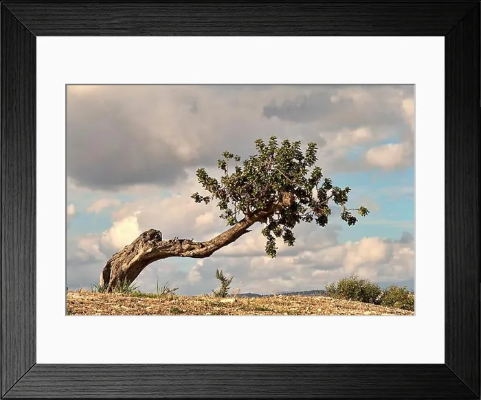 Framed Print : Windschief Framed Print : Windschief