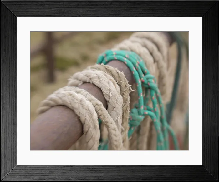 Framed Print : Tucson, Arizona: Ropes and hanrnesses used on horse drawn wagons Framed Print : Tucson, Arizona: Ropes and hanrnesses used on horse drawn wagons