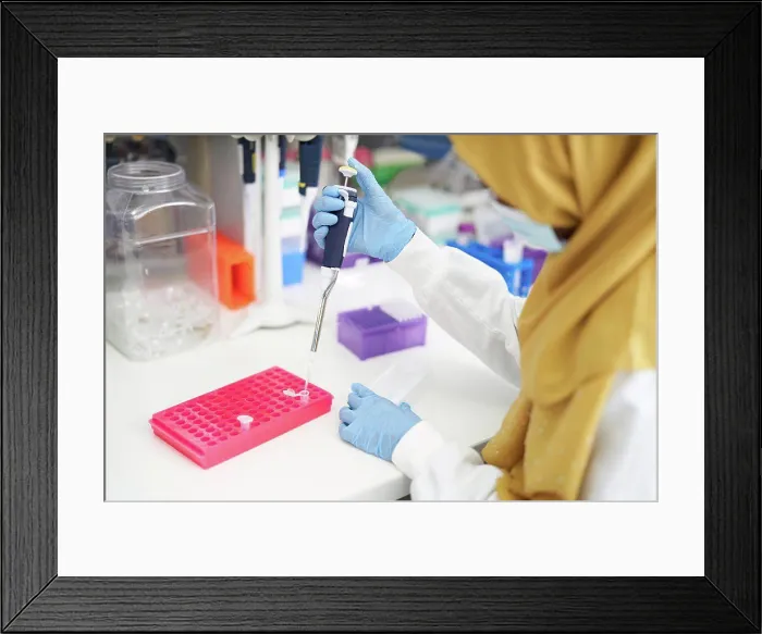 Framed Print : Female scientist in hijab and face mask filling pipette tray in laboratory