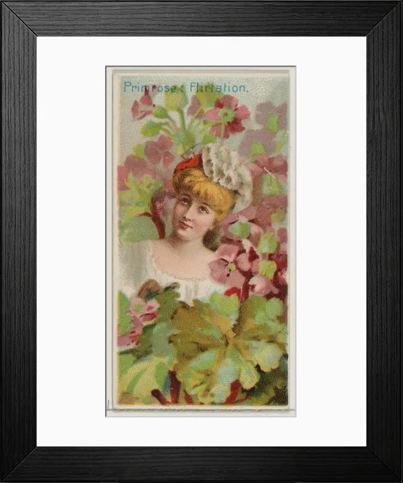 Framed Print : Primrose: Flirtation Framed Print : Primrose: Flirtation