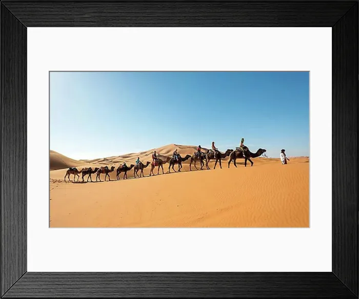 Framed Print : Caravan with dromedaries (Camelus dromedarius), sand dunes in the desert, Erg Chebbi, Merzouga, Sahara, Morocco, Africa Framed Print : Caravan with dromedaries (Camelus dromedarius), sand dunes in the desert, Erg Chebbi, Merzouga, Sahara, Morocco, Africa