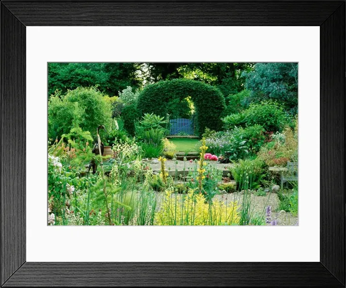 Framed Print : Clipped hedging arch in large country garden in summer Framed Print : Clipped hedging arch in large country garden in summer