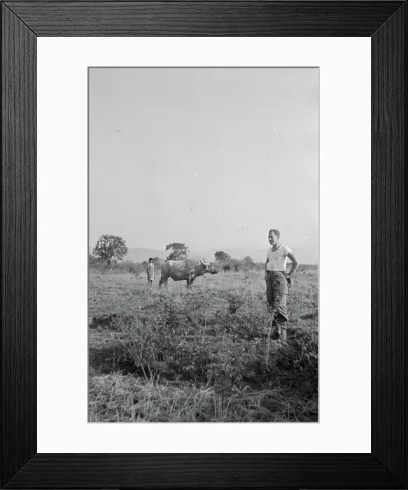 Framed Print : Detachment 101, an enigmatic Allied intelligence and special operations unit during World War II