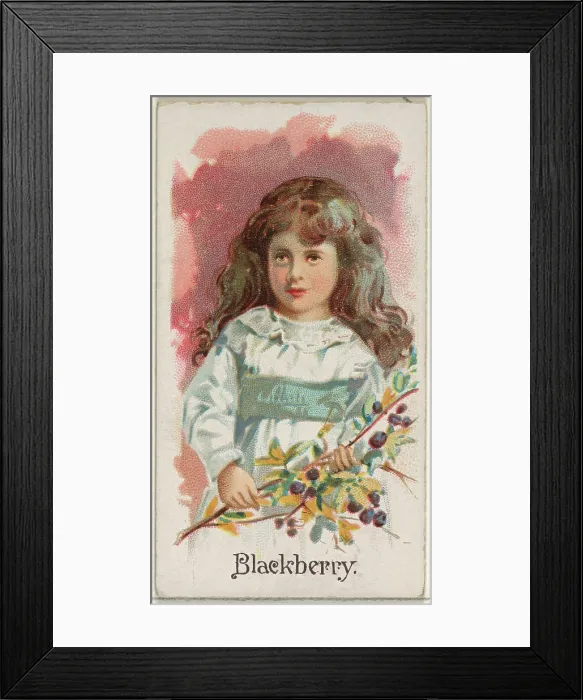 Framed Print : Blackberry, from the Fruits series (N12) Framed Print : Blackberry, from the Fruits series (N12)