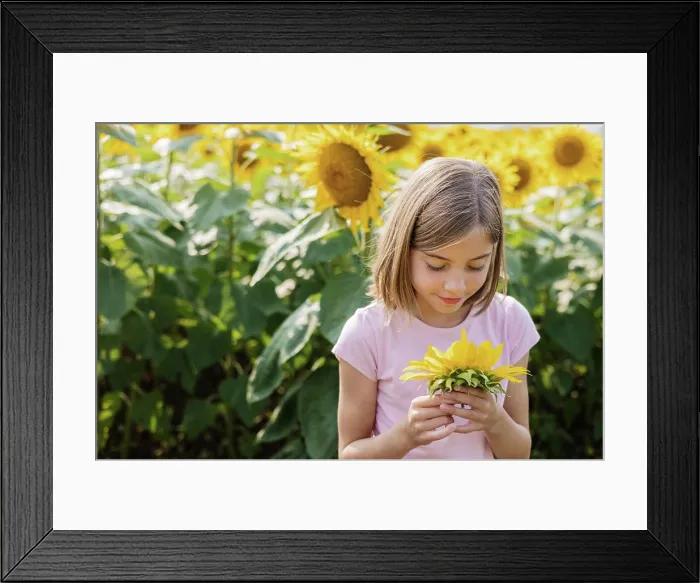 Framed Print : Young girl in sunflower field smiling at her picked sunflower Framed Print : Young girl in sunflower field smiling at her picked sunflower