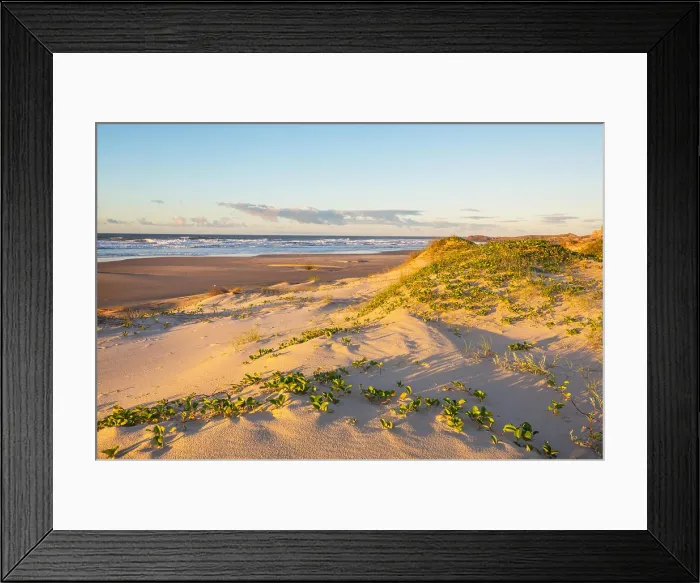 Framed Print : Sandy beach Sandy beach Copyright: xZoonar.com / GalynaxAndrushkox 22511440
