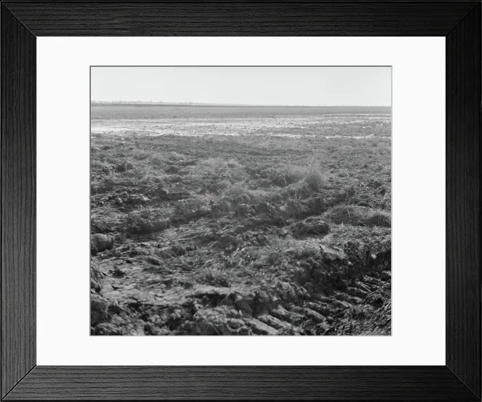 Framed Print : Collection Dutch Heidematschappij. Landscapes. undated Framed Print : Collection Dutch Heidematschappij. Landscapes. undated