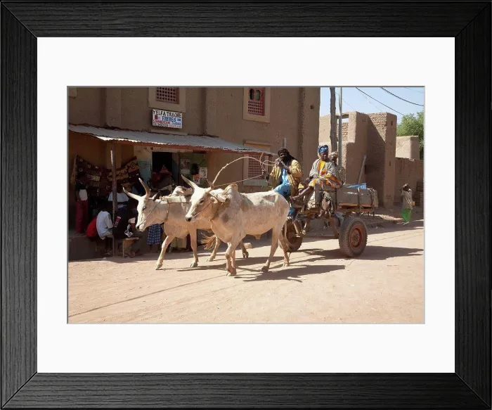 Framed Print : Ox cart, Monday Market, Djenne, Mali Framed Print : Ox cart, Monday Market, Djenne, Mali