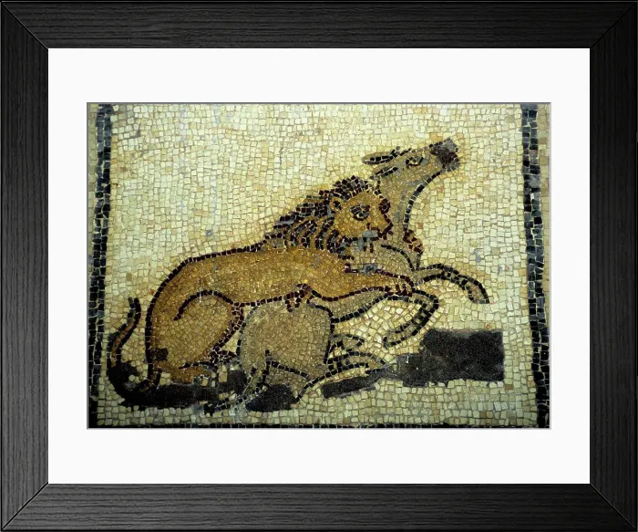 Framed Print : libya, near benghazi, ptolemais (tolmeita), museum, roman mosaic, lion Framed Print : libya, near benghazi, ptolemais (tolmeita), museum, roman mosaic, lion