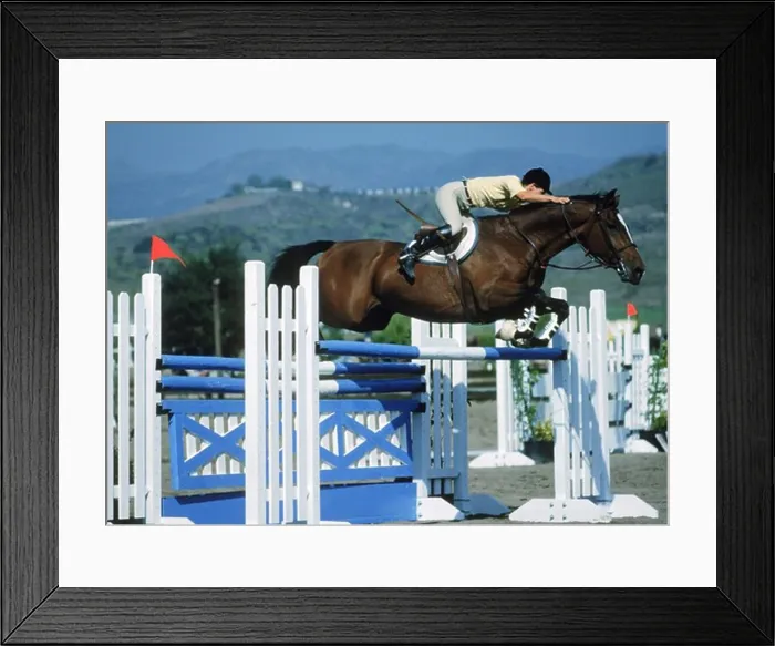 Framed Print : Horse jumping barrier during equestrian competition Framed Print : Horse jumping barrier during equestrian competition