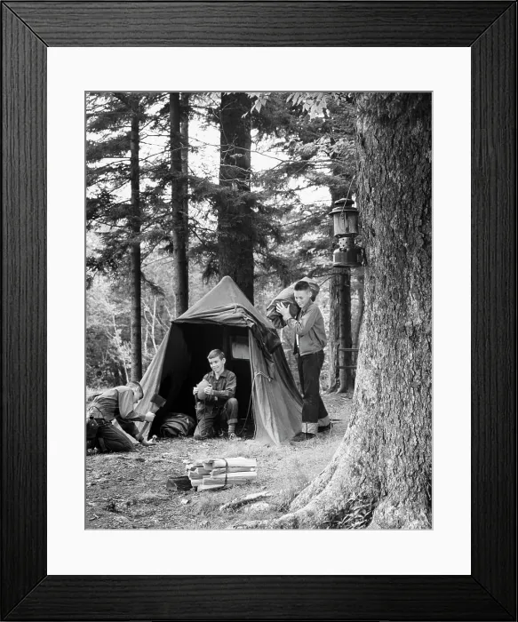 Framed Print : Three teenage boys camping in a forest Framed Print : Three teenage boys camping in a forest