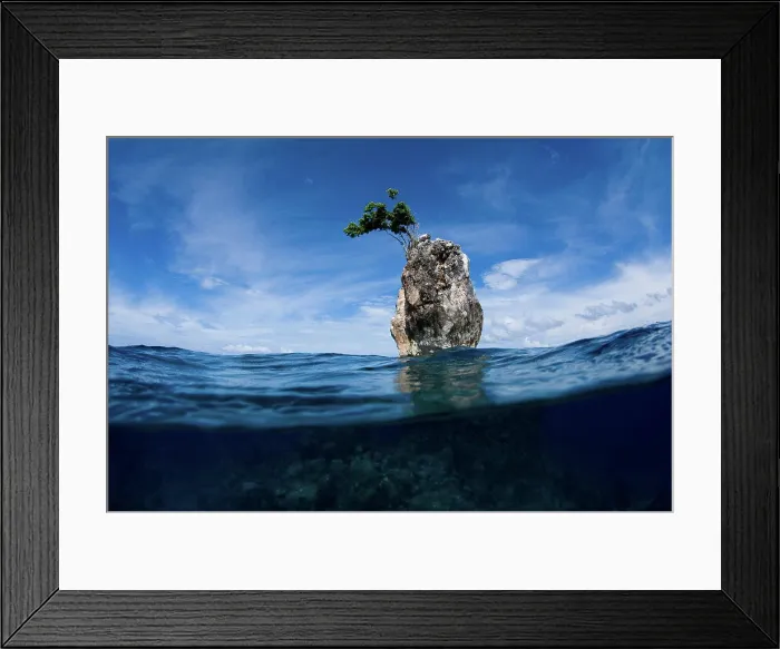 Framed Print : One Tree Rock, Boo Island, Misool, Raja Ampat, West Papua, Indonesia, Pacific Ocean
