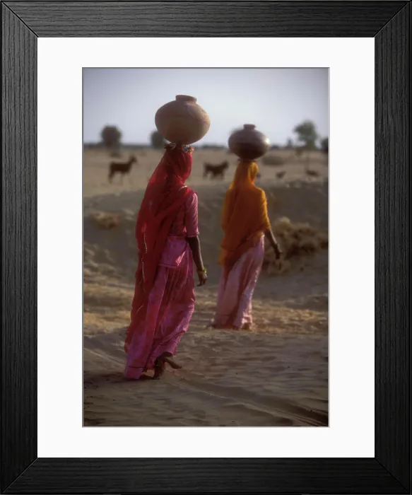 Framed Print : Bhil indigenous women carrying water jugs on their heads, Rajasthan Desert, India