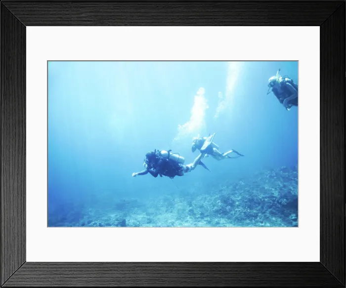 Framed Print : People, swimming and scuba diving in ocean to explore underwater Framed Print : People, swimming and scuba diving in ocean to explore underwater