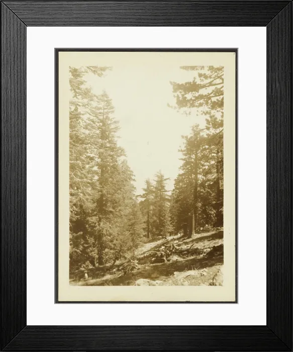Framed Print : Santa Rosa Peak. Louis Fleckenstein Framed Print : Santa Rosa Peak. Louis Fleckenstein