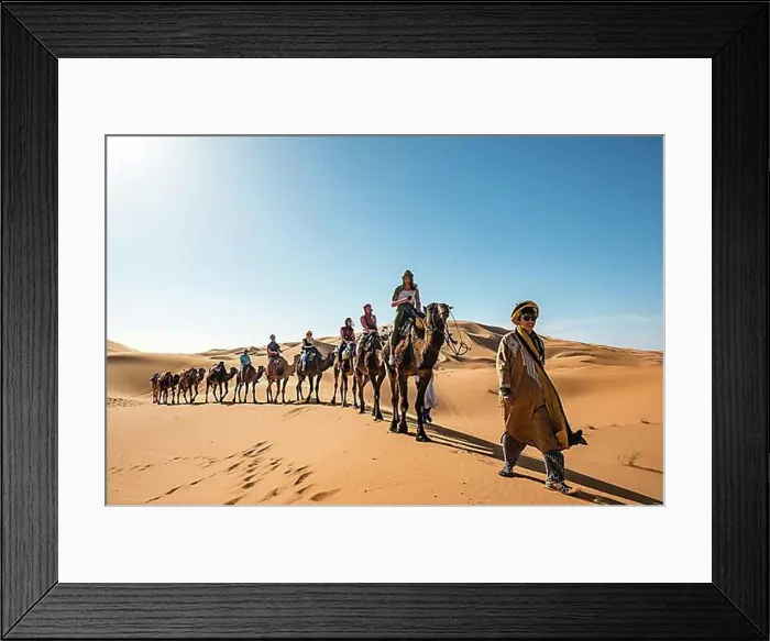 Framed Print : Caravan with dromedaries (Camelus dromedarius), sand dunes in the desert, Erg Chebbi, Merzouga, Sahara, Morocco, Africa Framed Print : Caravan with dromedaries (Camelus dromedarius), sand dunes in the desert, Erg Chebbi, Merzouga, Sahara, Morocco, Africa