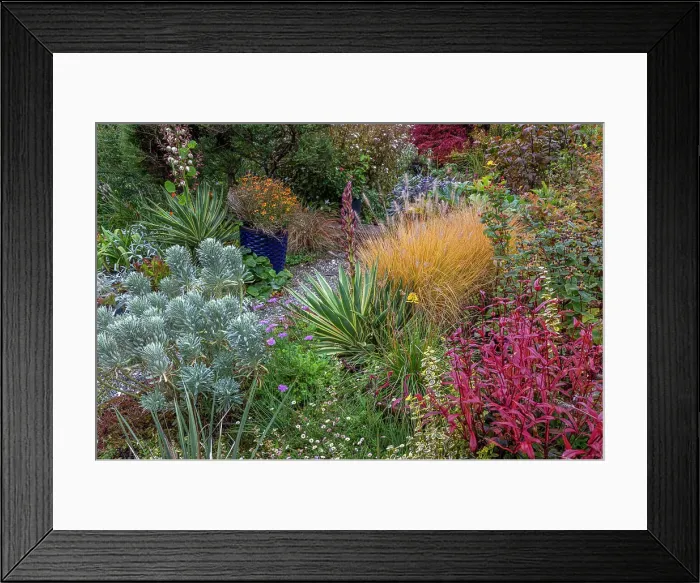 Framed Print : USA, Washington State, Lemolo. Garden in autumn Framed Print : USA, Washington State, Lemolo. Garden in autumn