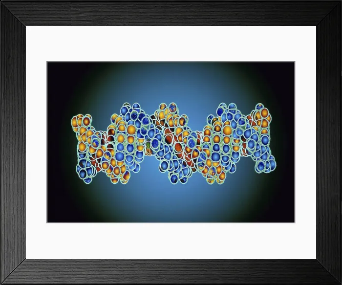 Framed Print : DNA Model Framed Print : DNA Model