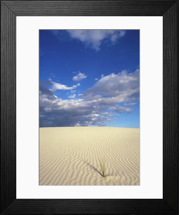 Framed Print : Sand dunes at White Sands National Monument, New Mexico