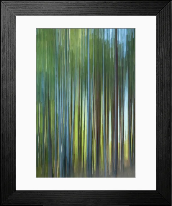 Framed Print : Forest ICM. Intentional camera movement ICM image of a dream like background of trees in forest created by motion blur Framed Print : Forest ICM. Intentional camera movement ICM image of a dream like background of trees in forest created by motion blur