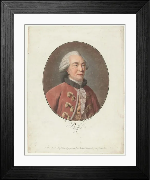 Framed Print : Portrait of Georges Louis Leclerc Count of Buffon; Buffon; Collection des Grands Hommes Framed Print : Portrait of Georges Louis Leclerc Count of Buffon; Buffon; Collection des Grands Hommes