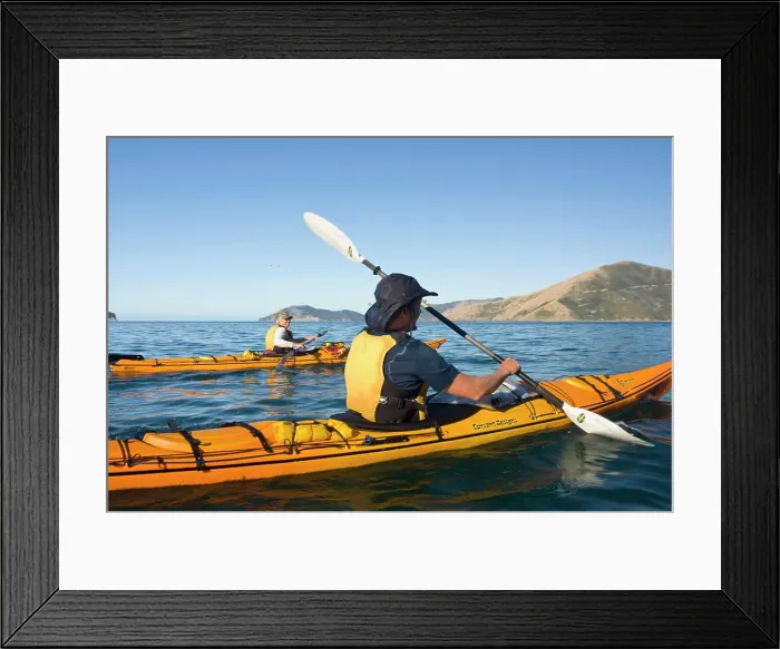 Framed Print : New Zealand, South Island, Marlborough Sounds. Jonathan Grady and Jaclyn Neil sea kayaking in Waitaita Reach. (MR) Framed Print : New Zealand, South Island, Marlborough Sounds. Jonathan Grady and Jaclyn Neil sea kayaking in Waitaita Reach. (MR)