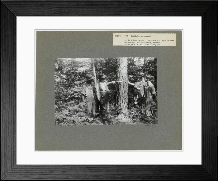 Framed Print : S & PF - Arkansas. Photographs Relating to National Forests