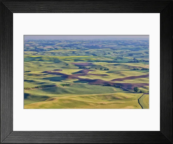 Framed Print : USA, Washington State. Rolling wheat fields from Steptoe Butte State Park Framed Print : USA, Washington State. Rolling wheat fields from Steptoe Butte State Park