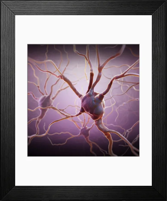 Framed Print : Neurons and extensions connecting to other neurons