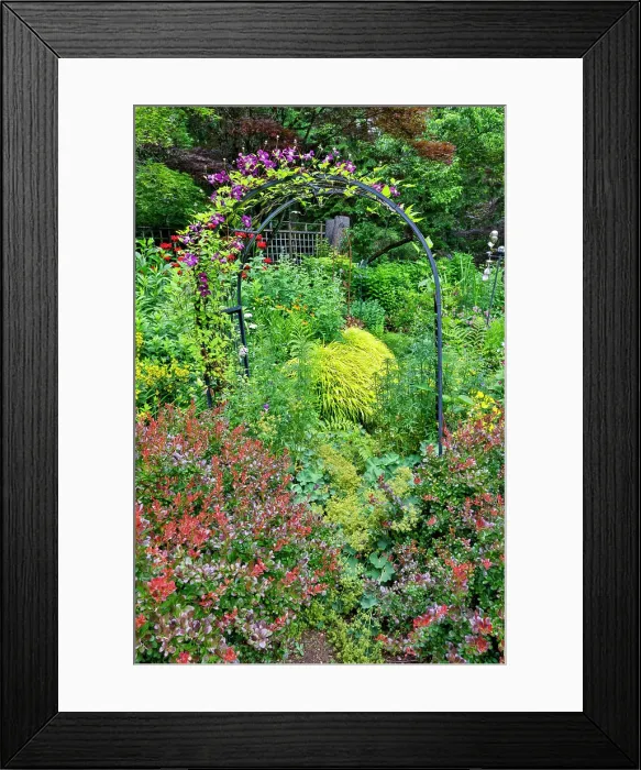 Framed Print : USA, Washington State, Sammamish. Garden in bloom in sunny location Framed Print : USA, Washington State, Sammamish. Garden in bloom in sunny location