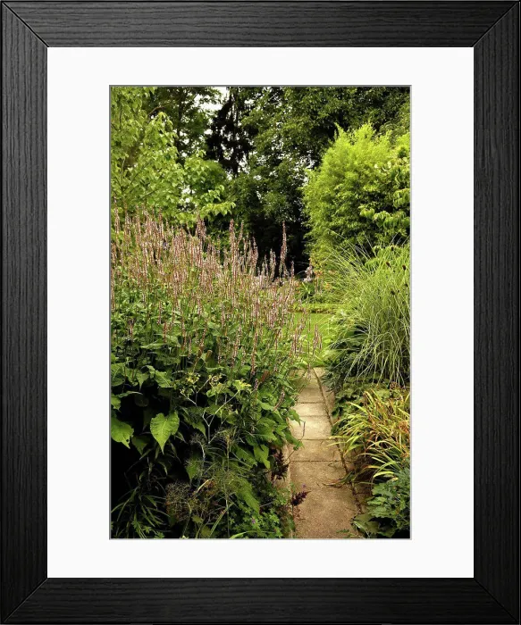 Framed Print : Garden scenery in the Jardin des Orchidées Alsace France Framed Print : Garden scenery in the Jardin des Orchidées Alsace France