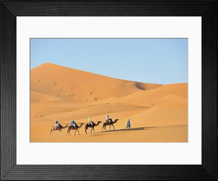 Framed Print : Camel trekking, Erg Chebbi, Morocco, Africa