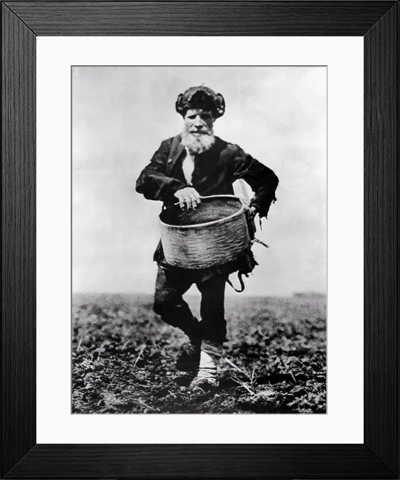 Framed Print : The Sower by Shishkin, Arkady Vasilyevich (1899-1985) / State Central Museum of Contemporary History of Russia