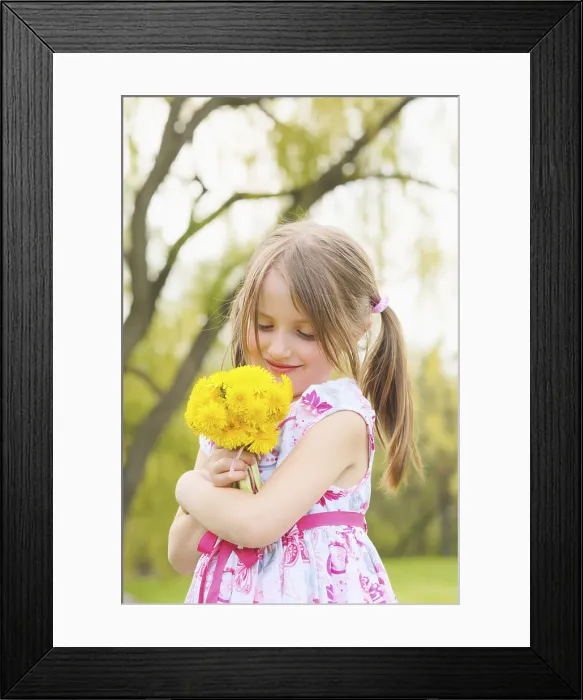 Framed Print : Young Girl Holding Bunch Of Dandelion Flowers; Toronto, Ontario, Canada Framed Print : Young Girl Holding Bunch Of Dandelion Flowers; Toronto, Ontario, Canada