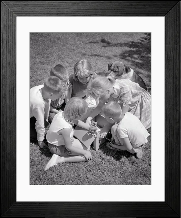 Framed Print : 1960s GROUP OF CHILDREN AND A DOG HELPING AN INJURED BIRD Framed Print : 1960s GROUP OF CHILDREN AND A DOG HELPING AN INJURED BIRD