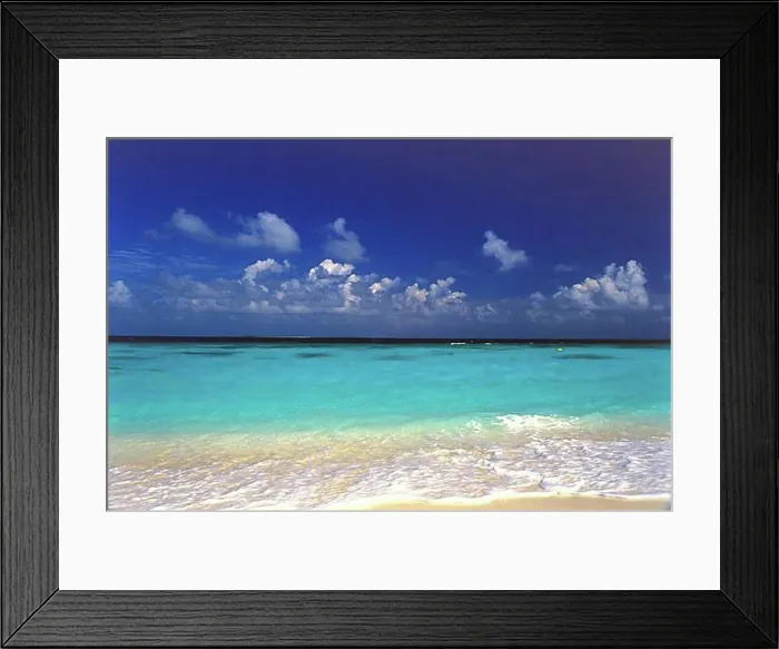 Framed Print : Maldives Beach