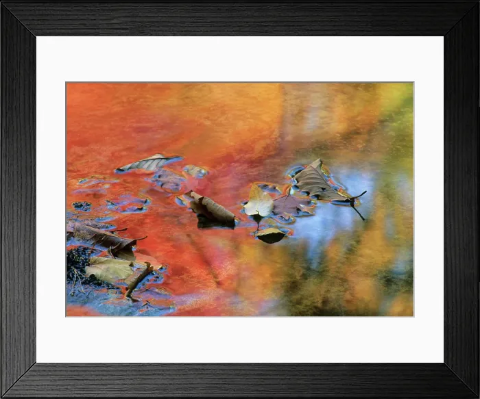 Framed Print : USA, New York, Adirondack Mountains. Autumn reflections in stream Framed Print : USA, New York, Adirondack Mountains. Autumn reflections in stream