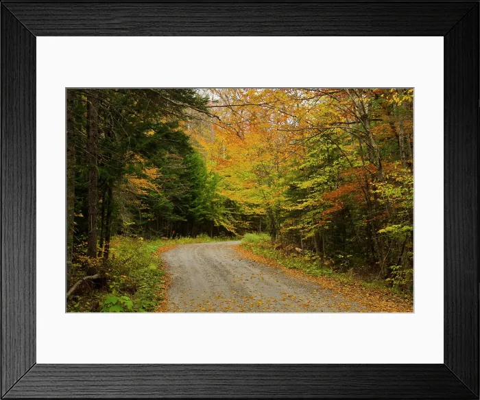 Framed Print : USA, Vermont, Montgomery. Road with fall foliage in Northern Vermont Framed Print : USA, Vermont, Montgomery. Road with fall foliage in Northern Vermont