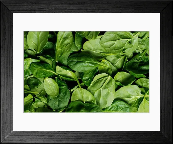 Framed Print : Spinach background