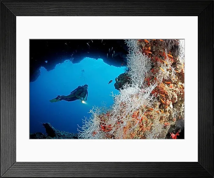 Framed Print : Diver under coral overhang, Maldives, Indian Ocean, Ari Atoll, Asia