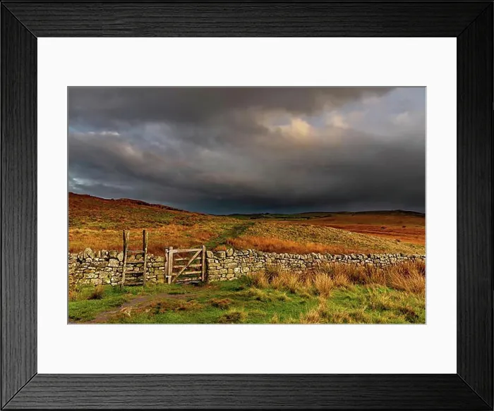 Framed Print : Stone wall in autumn landscape with dark sky, Greenhead, Northumberland, Great Britain Framed Print : Stone wall in autumn landscape with dark sky, Greenhead, Northumberland, Great Britain