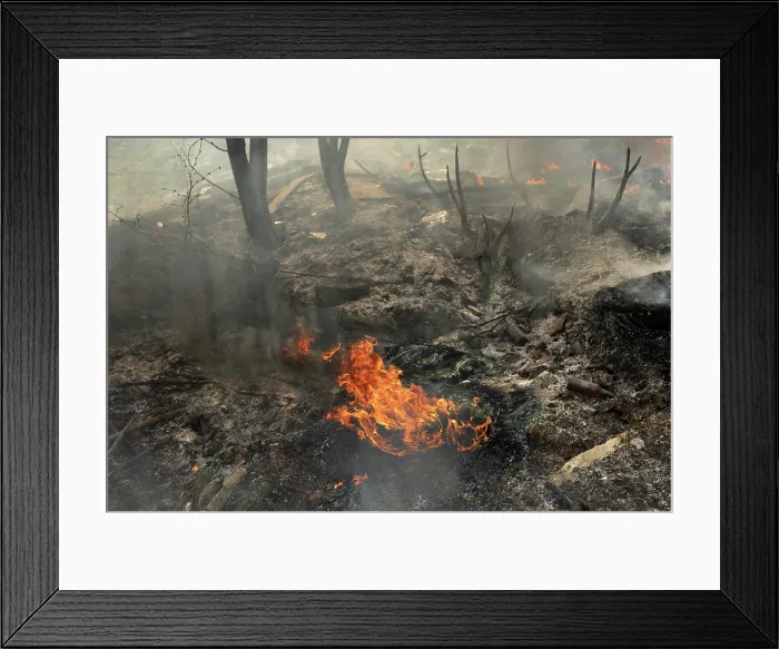 Framed Print : Burning of illegal landfill. Smoke and fire. Fire in street Framed Print : Burning of illegal landfill. Smoke and fire. Fire in street