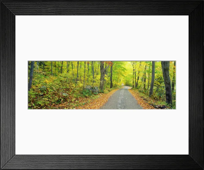 Framed Print : Autumn, Macedonia Brook State Park, Connecticut Framed Print : Autumn, Macedonia Brook State Park, Connecticut